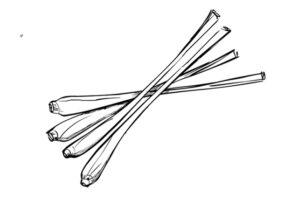Lemongrass