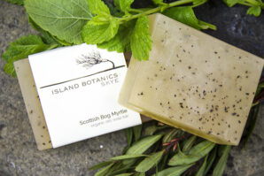 Soap Bars